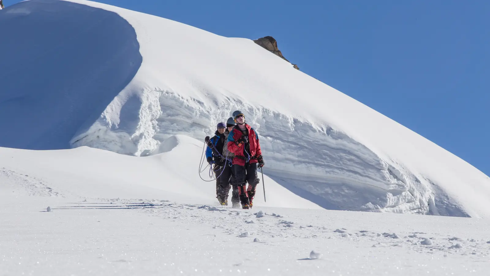 PISCO ALTITUD-NEVADO COPA (6)