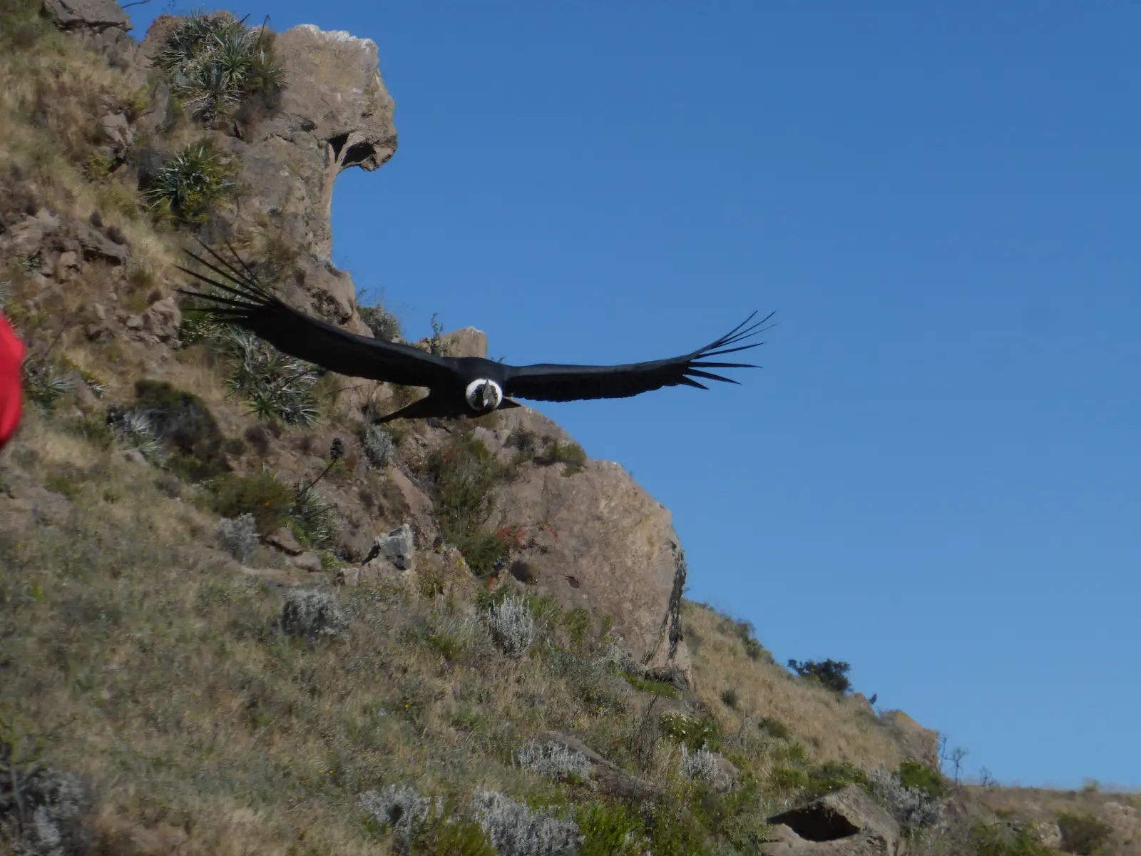 arequipa-puno-cusco (3)